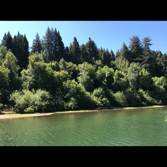 Meet your Posher, Cynthia - Picture 1 of 1